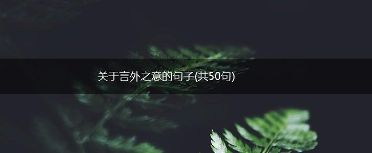 关于言外之意的句子(共50句),第1张