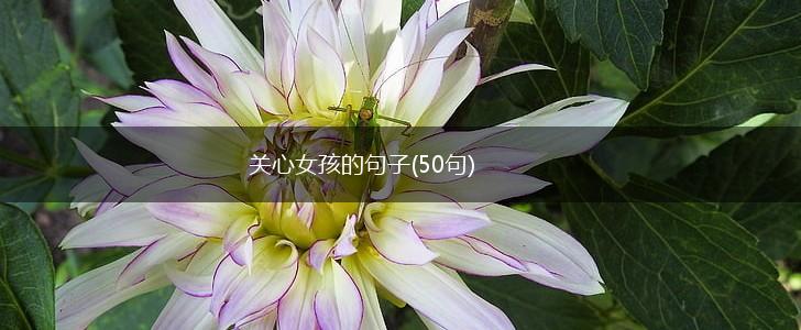 关心女孩的句子(50句),第1张