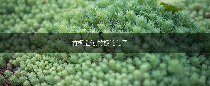 竹板造句,竹板的句子,第1张