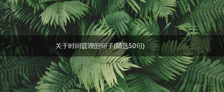 关于时间管理的句子(精选50句),第1张