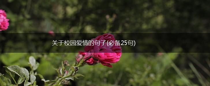 关于校园爱情的句子(必备25句),第1张