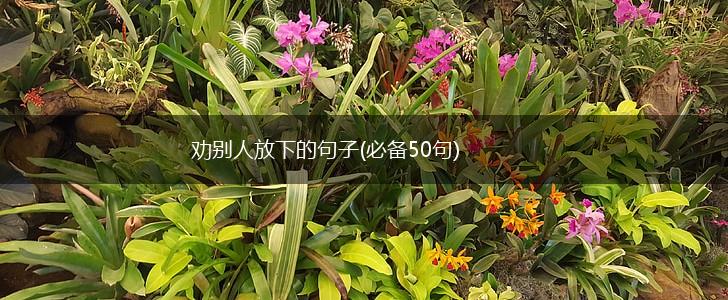 劝别人放下的句子(必备50句),第1张