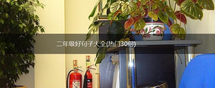 二年级好句子大全(热门30句),第1张
