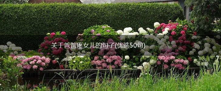 关于爸爸疼女儿的句子(优选50句),第1张