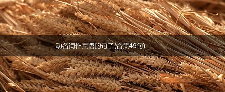 动名词作宾语的句子(合集49句),第1张