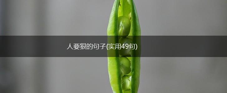 人要狠的句子(实用49句),第1张