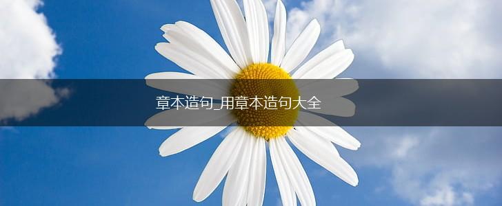 章本造句_用章本造句大全,第1张
