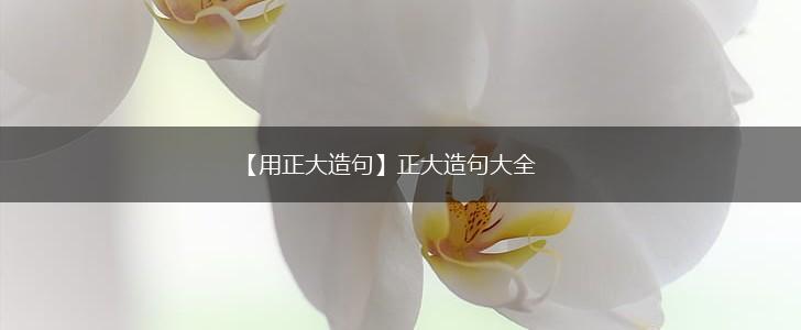 【用正大造句】正大造句大全,第1张
