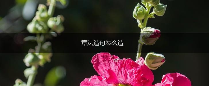 章法造句怎么造,第1张