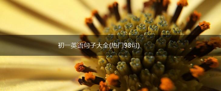 初一英语句子大全(热门98句),第1张