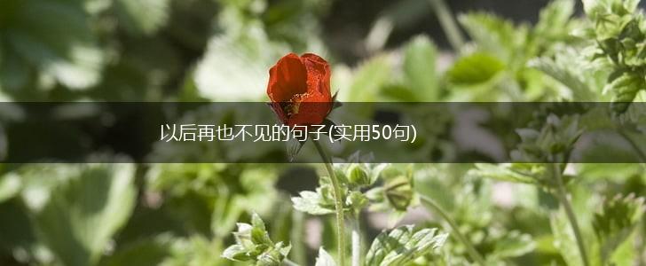 以后再也不见的句子(实用50句),第1张