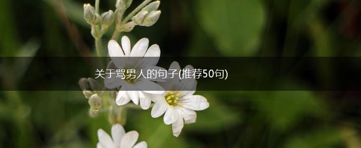 关于骂男人的句子(推荐50句),第1张