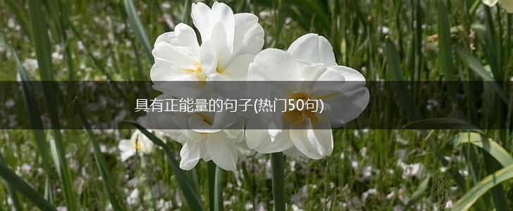 具有正能量的句子(热门50句),第1张