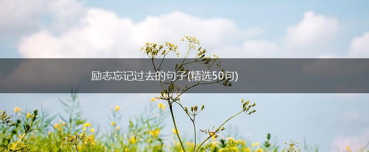 励志忘记过去的句子(精选50句),第1张