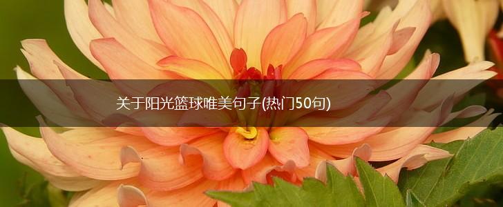 关于阳光篮球唯美句子(热门50句),第1张