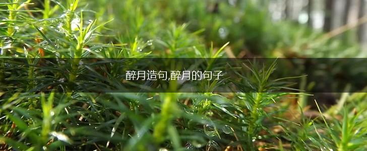 醉月造句,醉月的句子,第1张