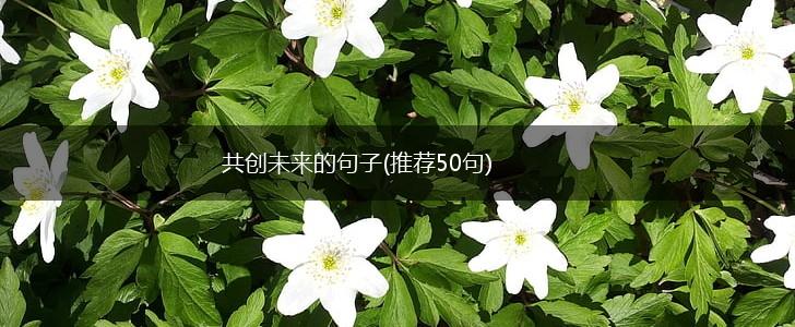 共创未来的句子(推荐50句),第1张