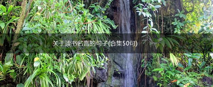 关于读书名言的句子(合集50句),第1张