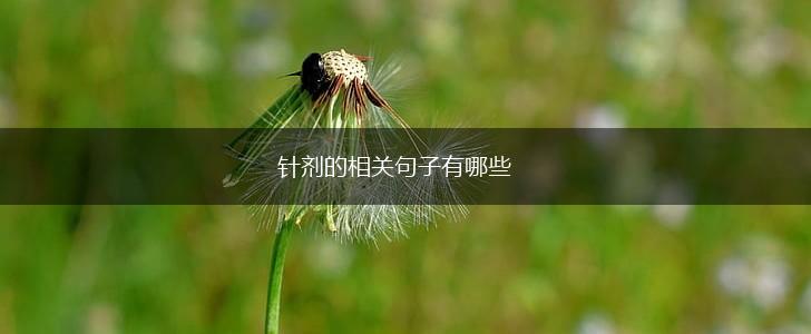针剂的相关句子有哪些,第1张