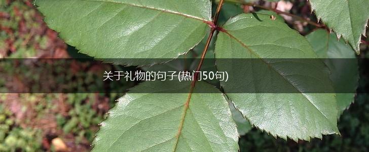 关于礼物的句子(热门50句),第1张