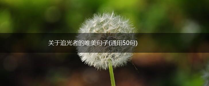 关于追光者的唯美句子(通用50句),第1张
