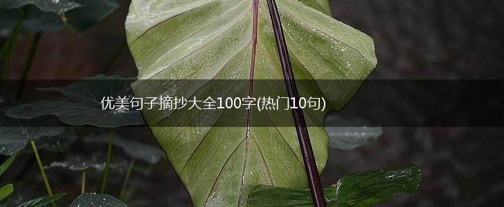 优美句子摘抄大全100字(热门10句),第1张