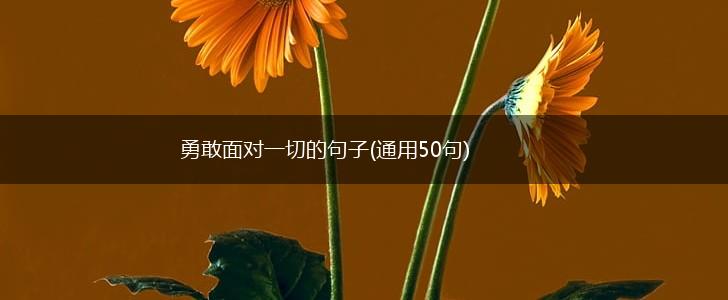 勇敢面对一切的句子(通用50句),第1张