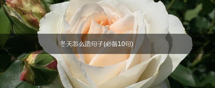 冬天怎么造句子(必备10句),第1张