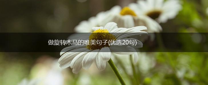 做旋转木马的唯美句子(优选20句),第1张