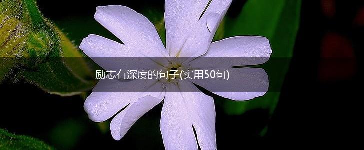 励志有深度的句子(实用50句),第1张