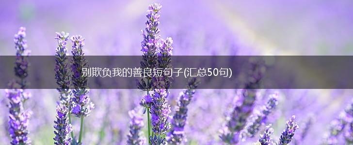 别欺负我的善良短句子(汇总50句),第1张