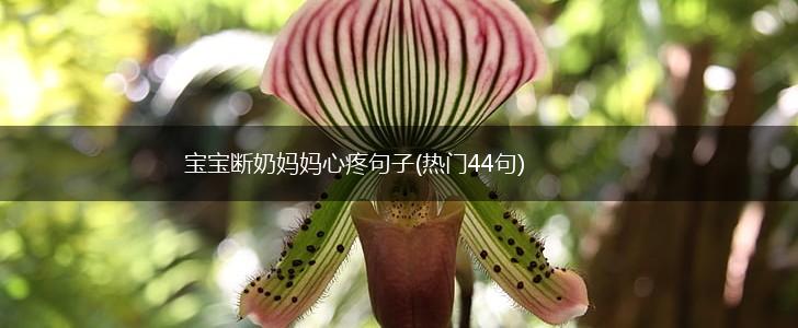 宝宝断奶妈妈心疼句子(热门44句),第1张
