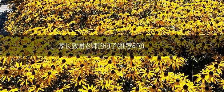 家长致谢老师的句子(推荐8句),第1张