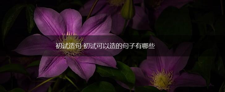 初试造句 初试可以造的句子有哪些,第1张