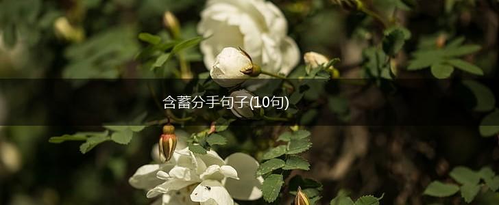 含蓄分手句子(10句),第1张