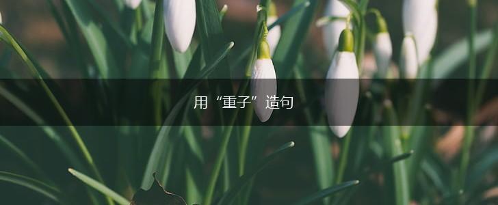 用“重子”造句,第1张
