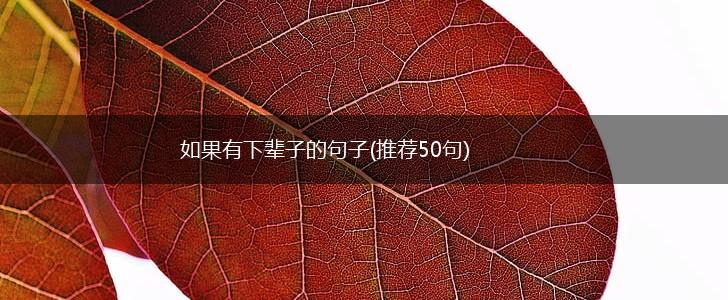 如果有下辈子的句子(推荐50句),第1张