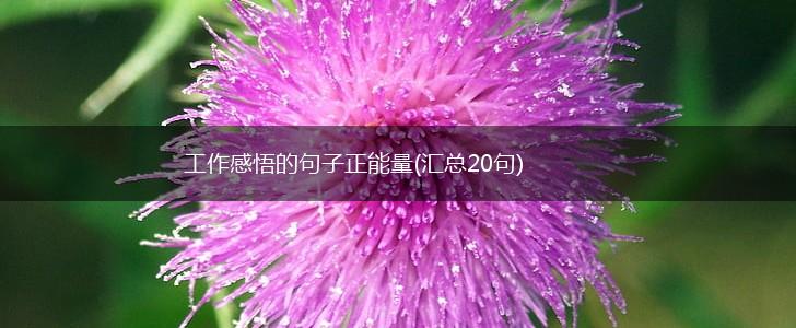 工作感悟的句子正能量(汇总20句),第1张