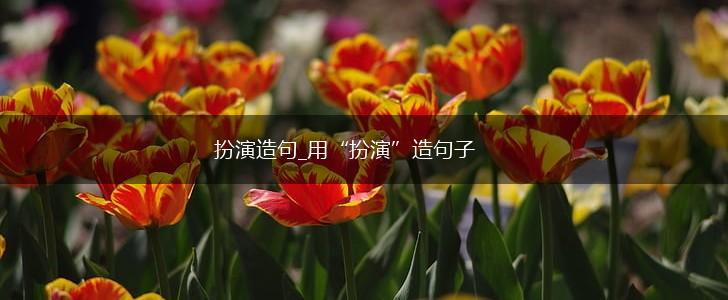 扮演造句_用“扮演”造句子,第1张
