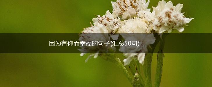 因为有你而幸福的句子(汇总50句),第1张