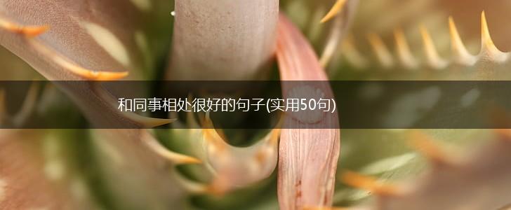 和同事相处很好的句子(实用50句),第1张