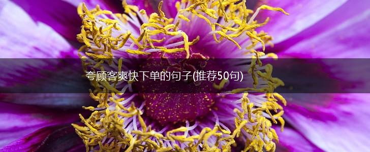 夸顾客爽快下单的句子(推荐50句),第1张
