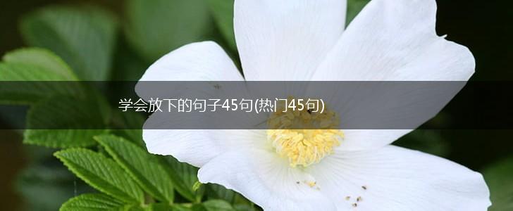 学会放下的句子45句(热门45句),第1张