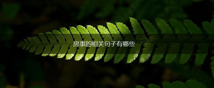 房事的相关句子有哪些,第1张 房事的相关句子有哪些,第1张