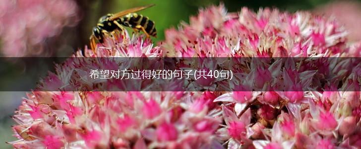 希望对方过得好的句子(共40句),第1张