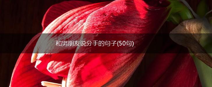 和男朋友说分手的句子(50句),第1张