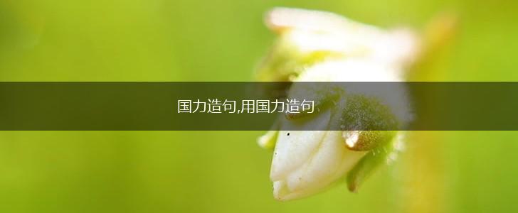 国力造句,用国力造句,第1张 国力造句,用国力造句,第1张