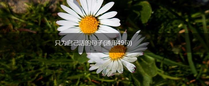 只为自己活的句子(通用49句),第1张