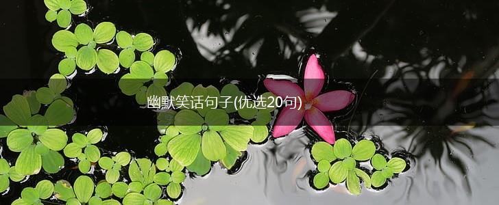 幽默笑话句子(优选20句),第1张