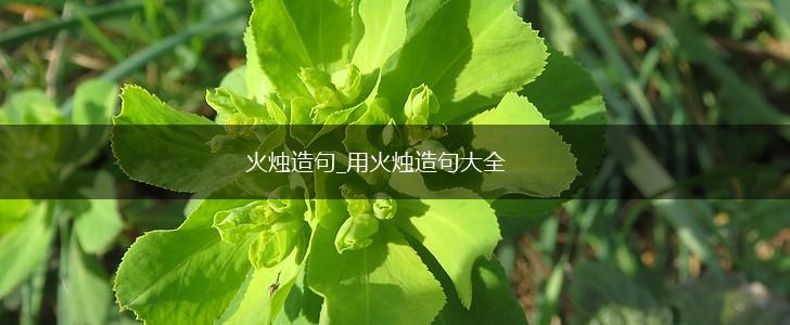 火烛造句_用火烛造句大全,第1张